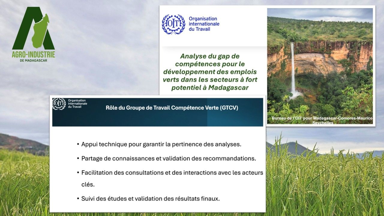 L’AIM fait dorénavant partie du « Groupe Technique Compétences Vertes (GTCV) » de l'International Labour Organization