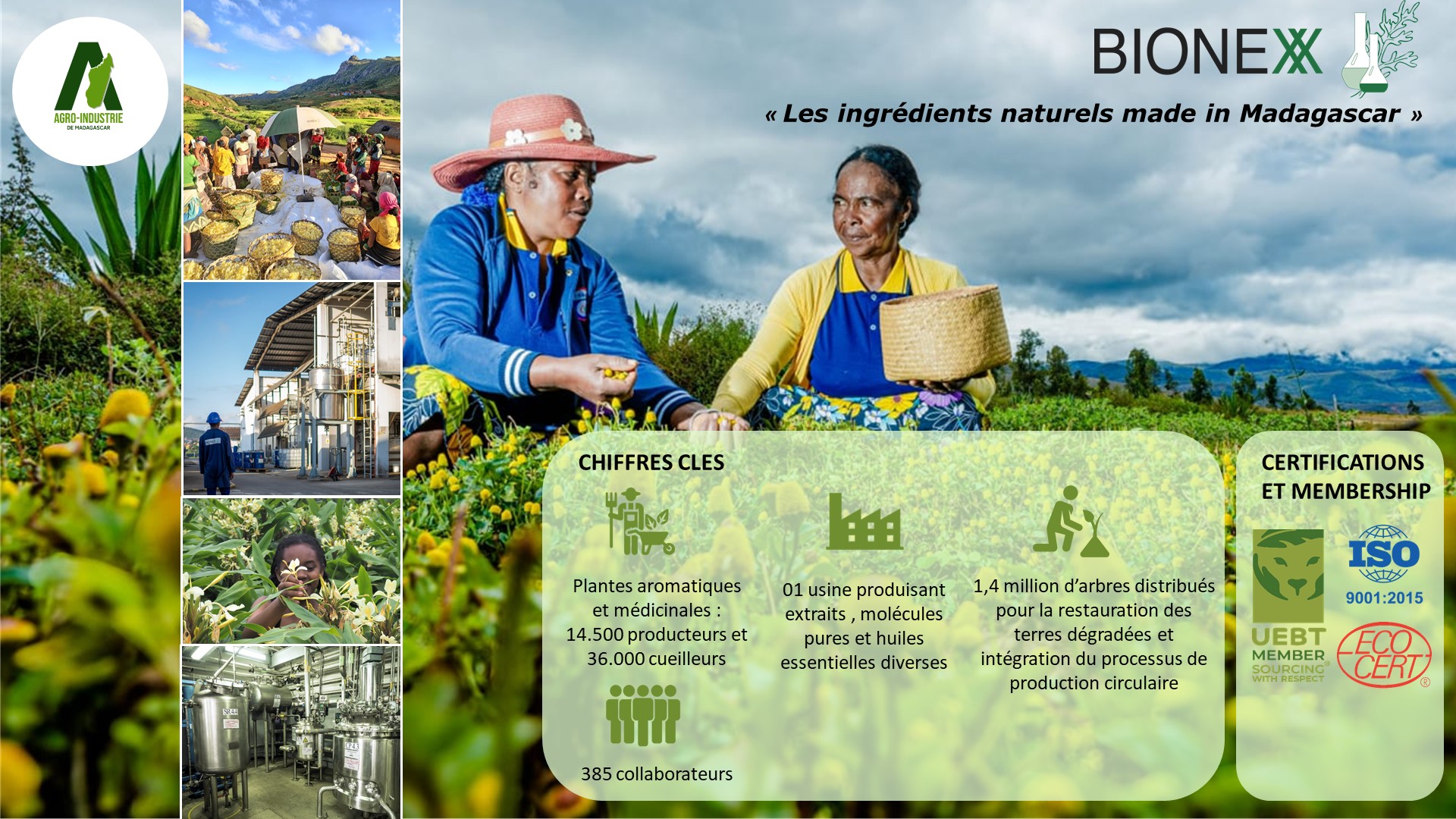 Chiffres clés de l'entreprise BIONEXX